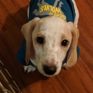 Meet your Posher, Kali